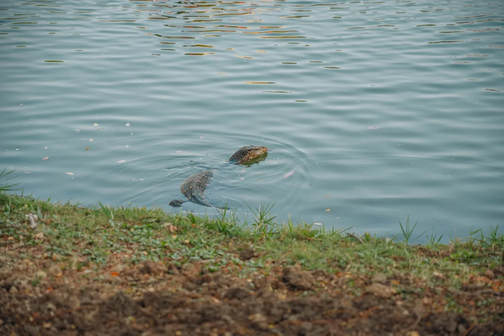 Bangkok 117