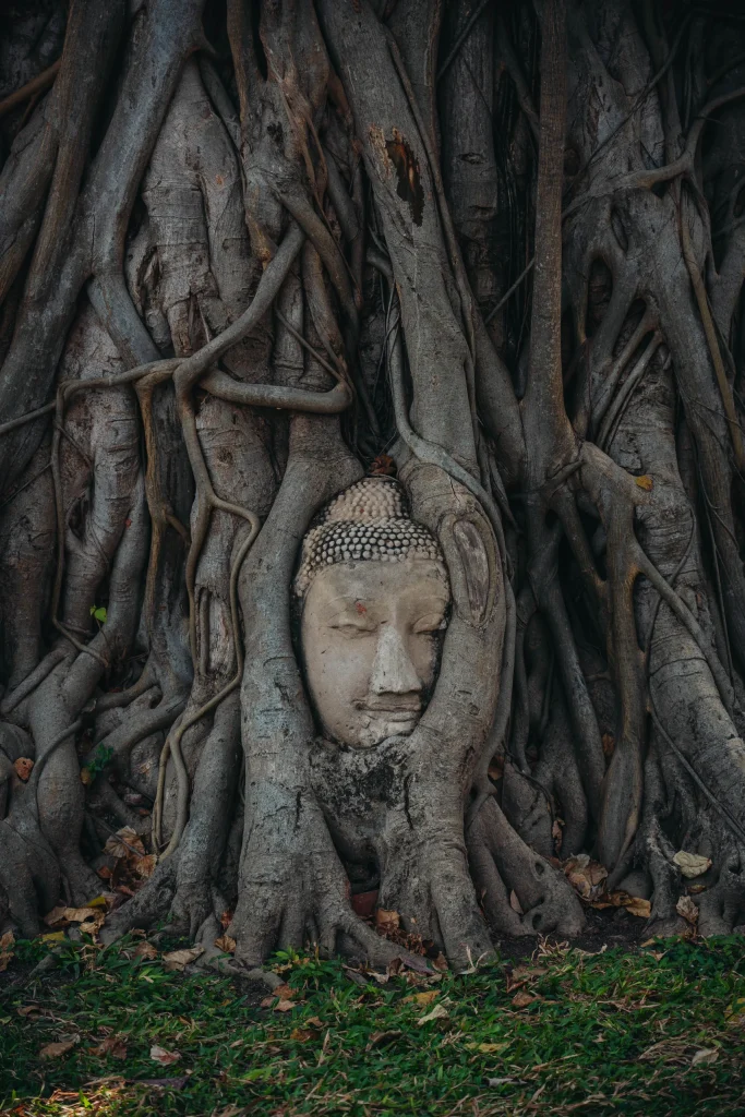 Bangkok 191