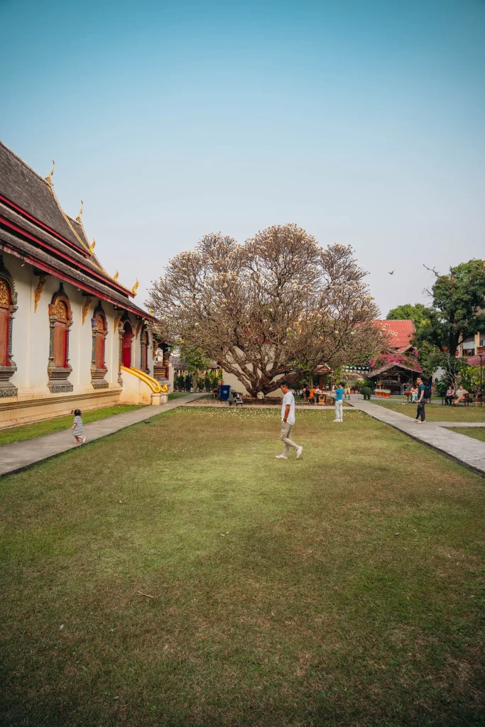 Chiang Mai 05