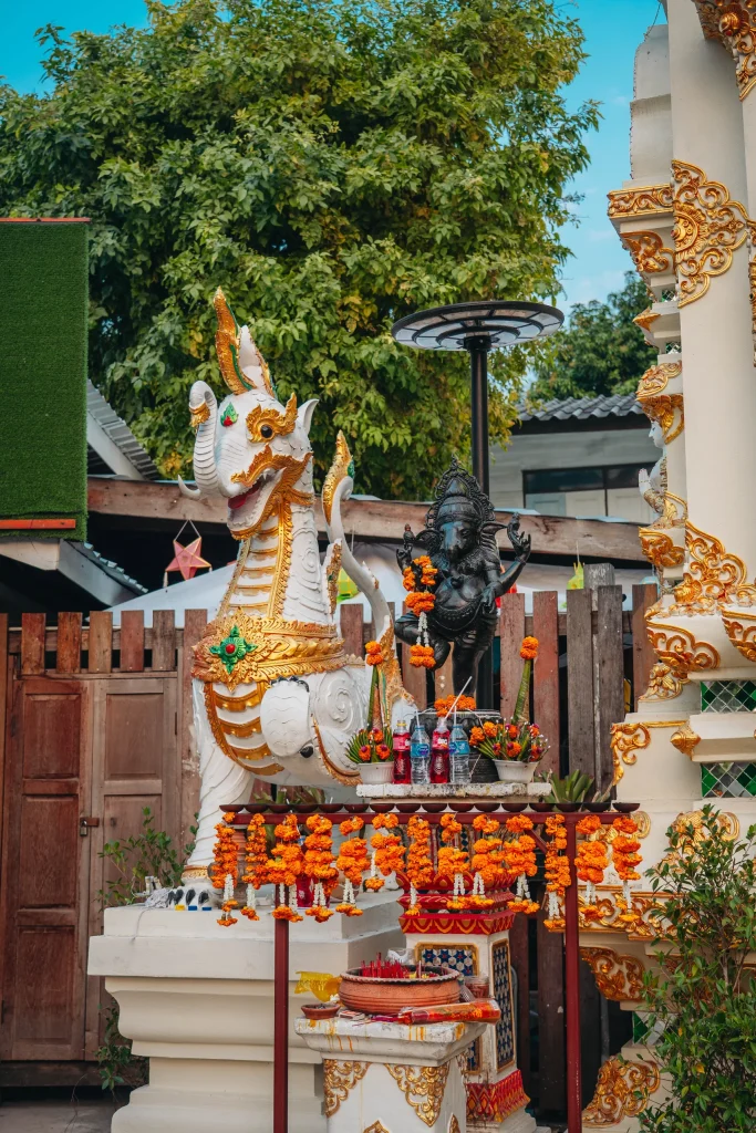 Chiang Mai 12