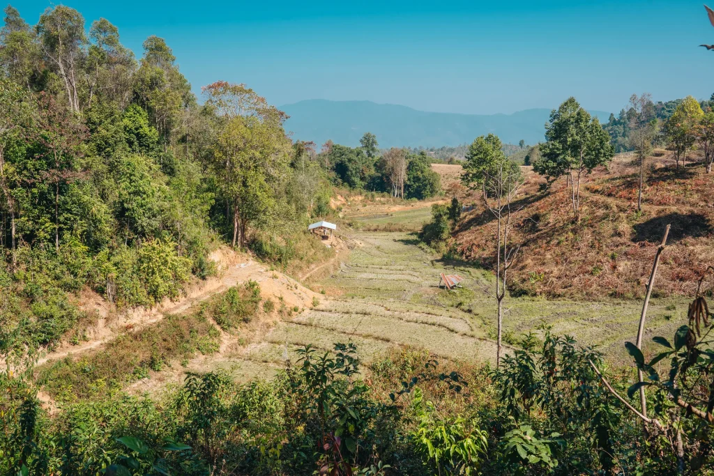 Chiang Mai 27