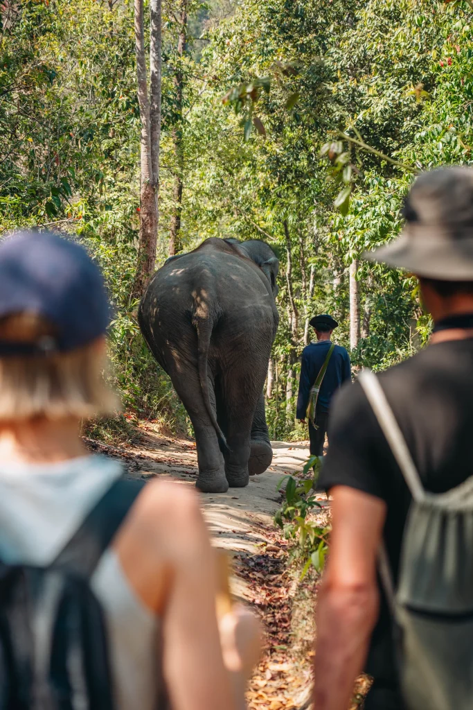 Chiang Mai 29