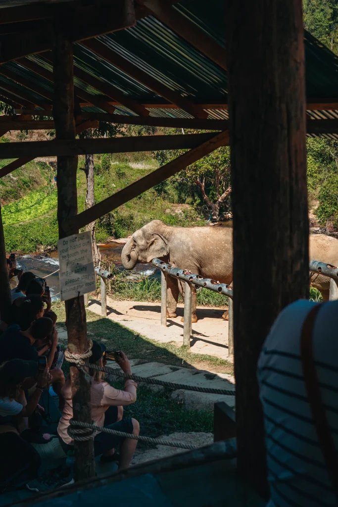 Chiang Mai 34