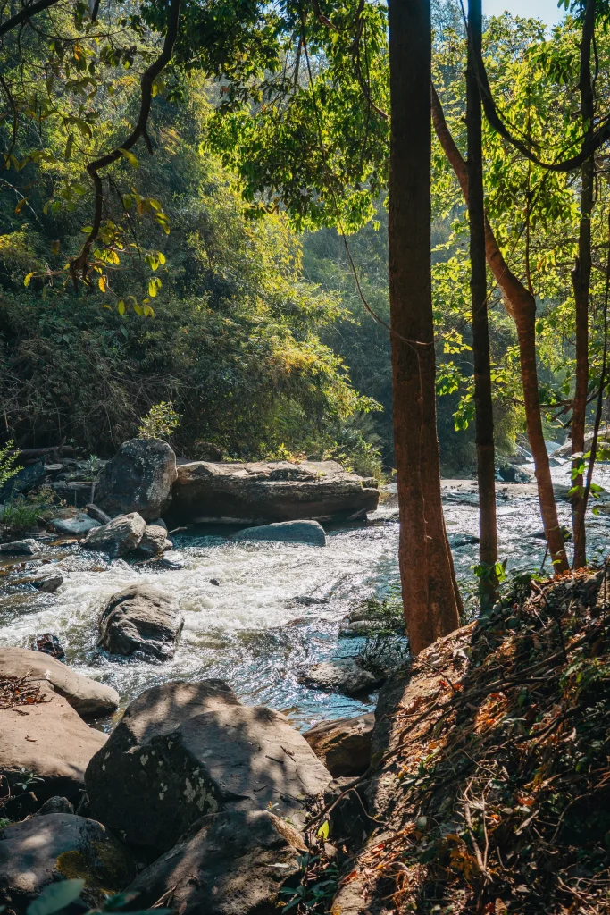 Chiang Mai 42