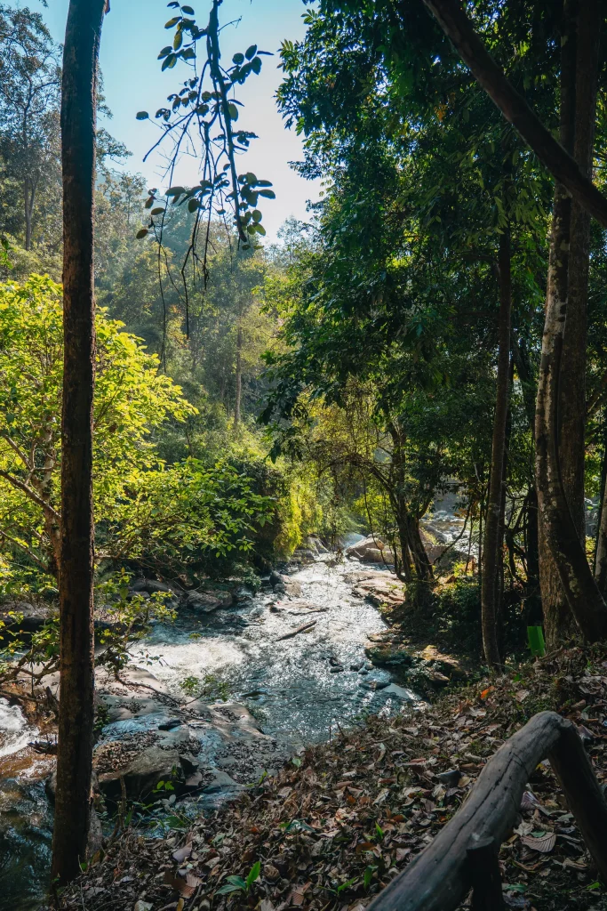 Chiang Mai 43