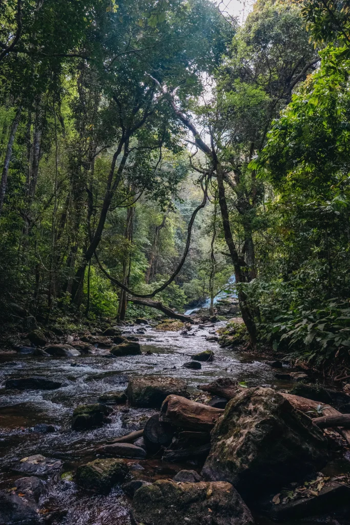 Chiang Mai 58