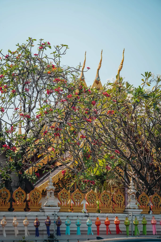 Chiang Mai 71