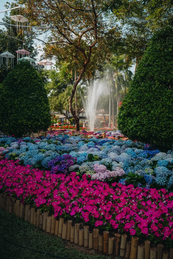 Chiang Mai 81