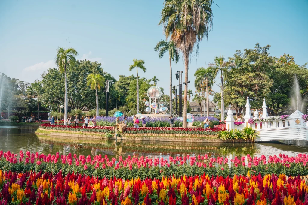 Chiang Mai 85