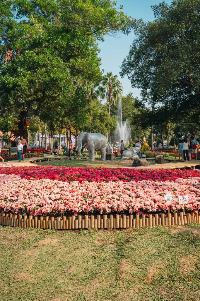 Chiang Mai 87