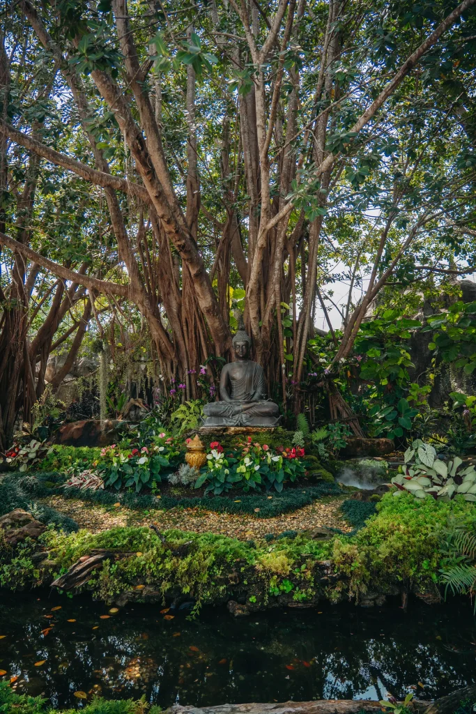 Chiang Mai 105
