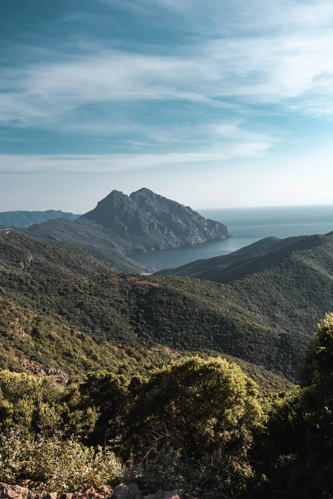 Corse 07