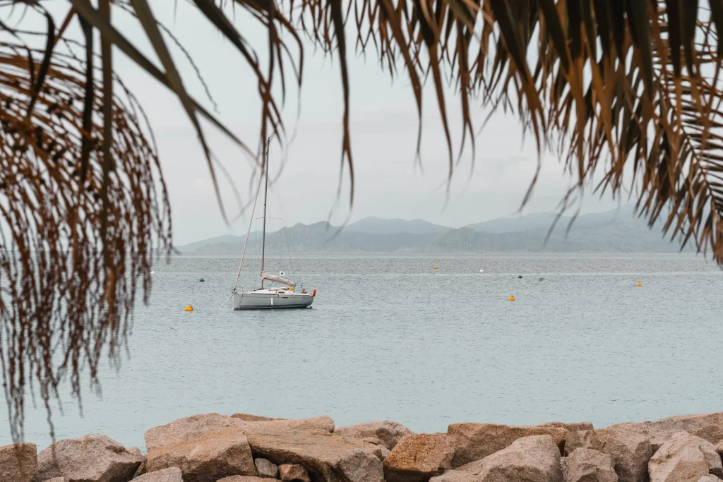 Corse 21