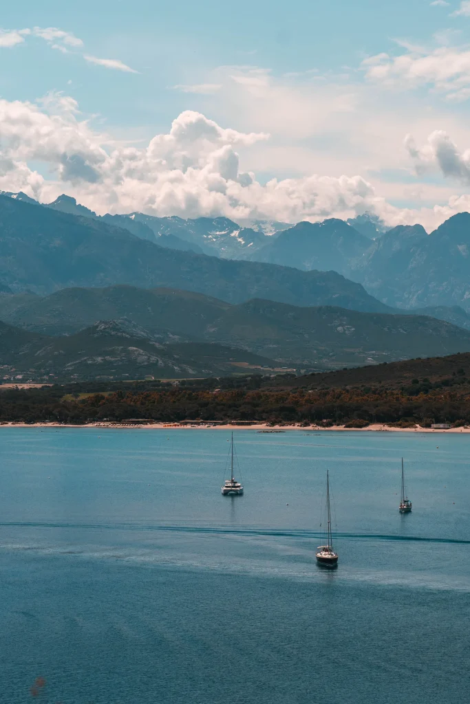 Corse 23