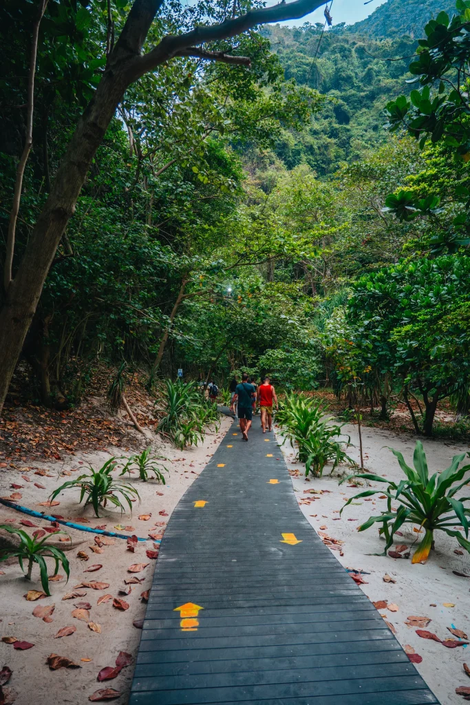 Koh Phi Phi 31