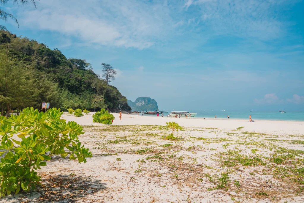Koh Phi Phi 56