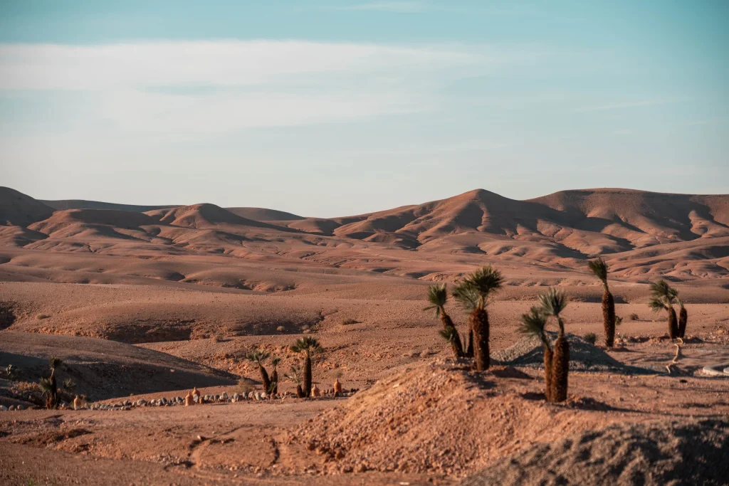 Maroc 14