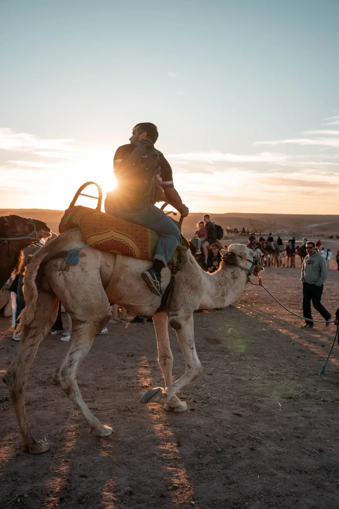 Maroc 20