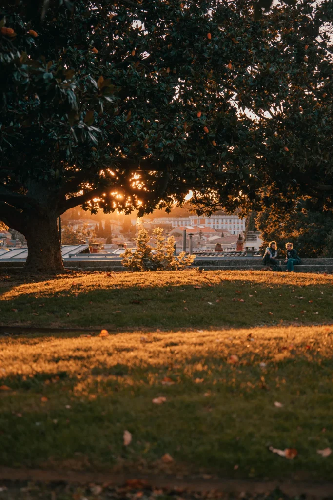 Montpellier 01