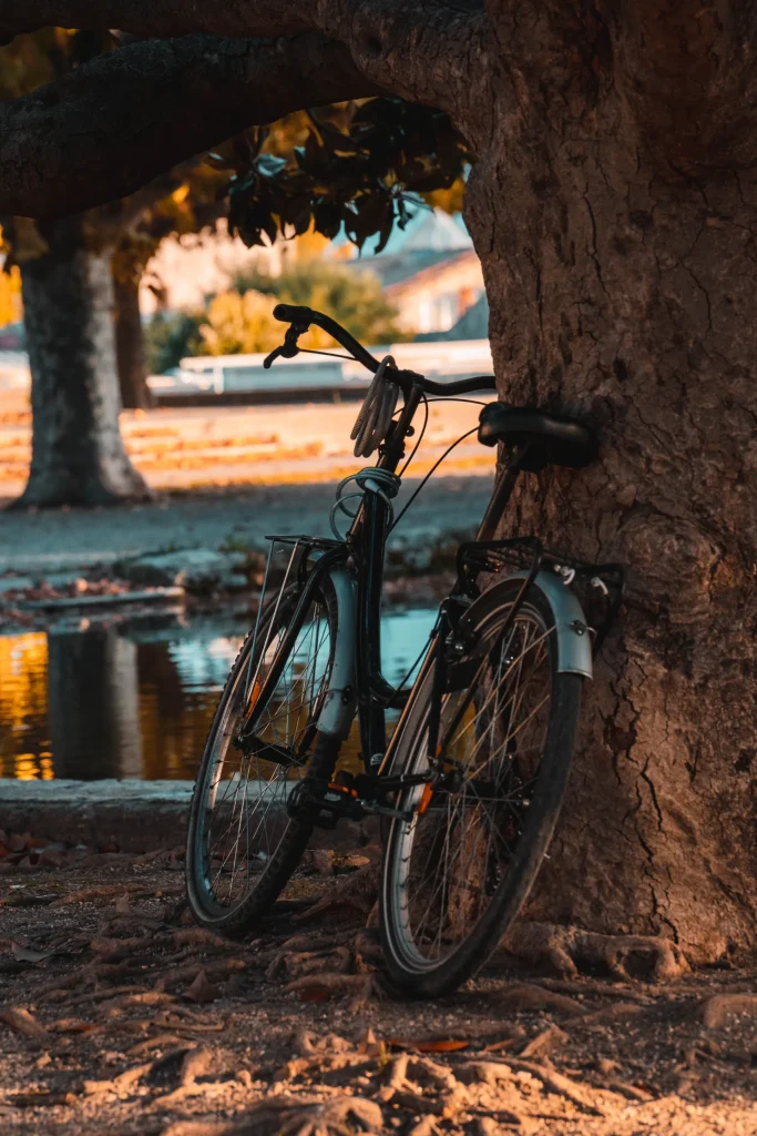 Montpellier 05