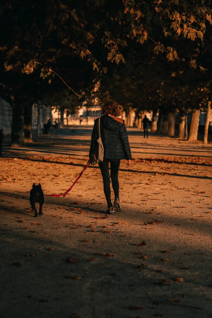 Montpellier 06