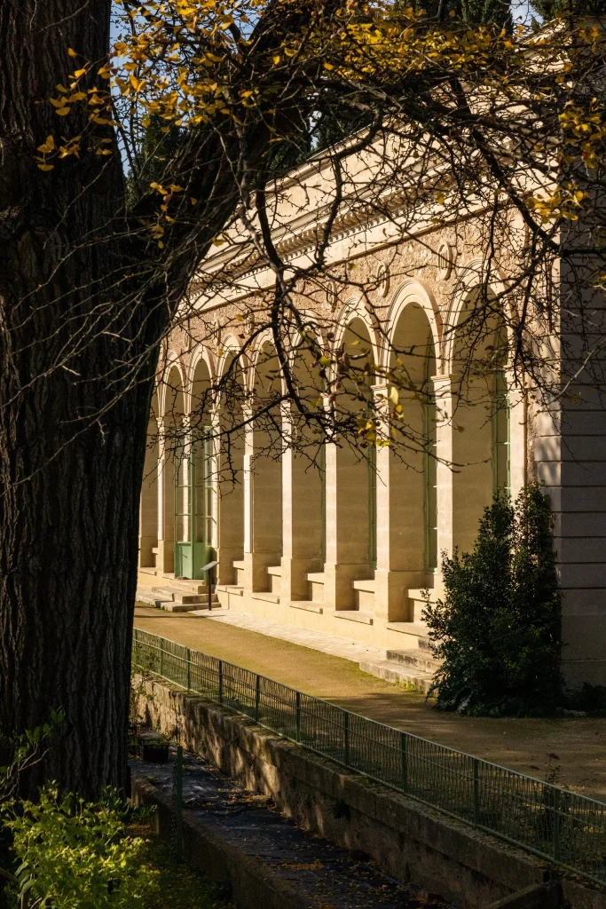 Montpellier 21