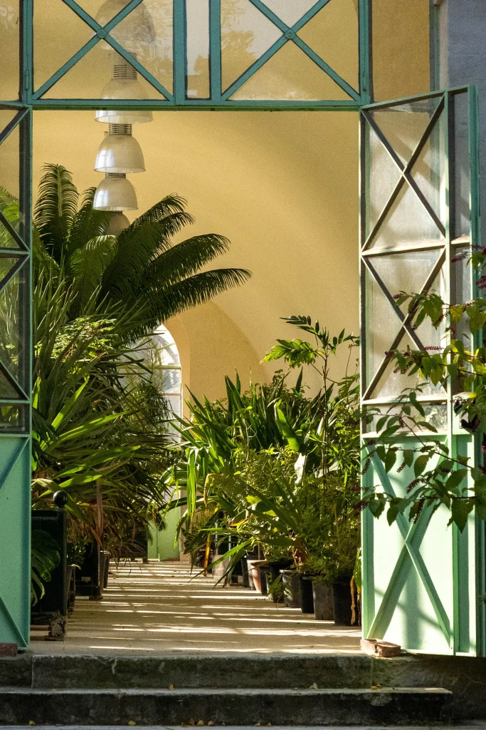 Montpellier 22