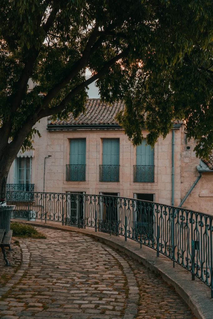 Montpellier 24