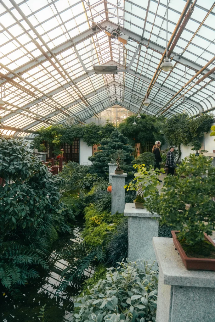 Montréal 14