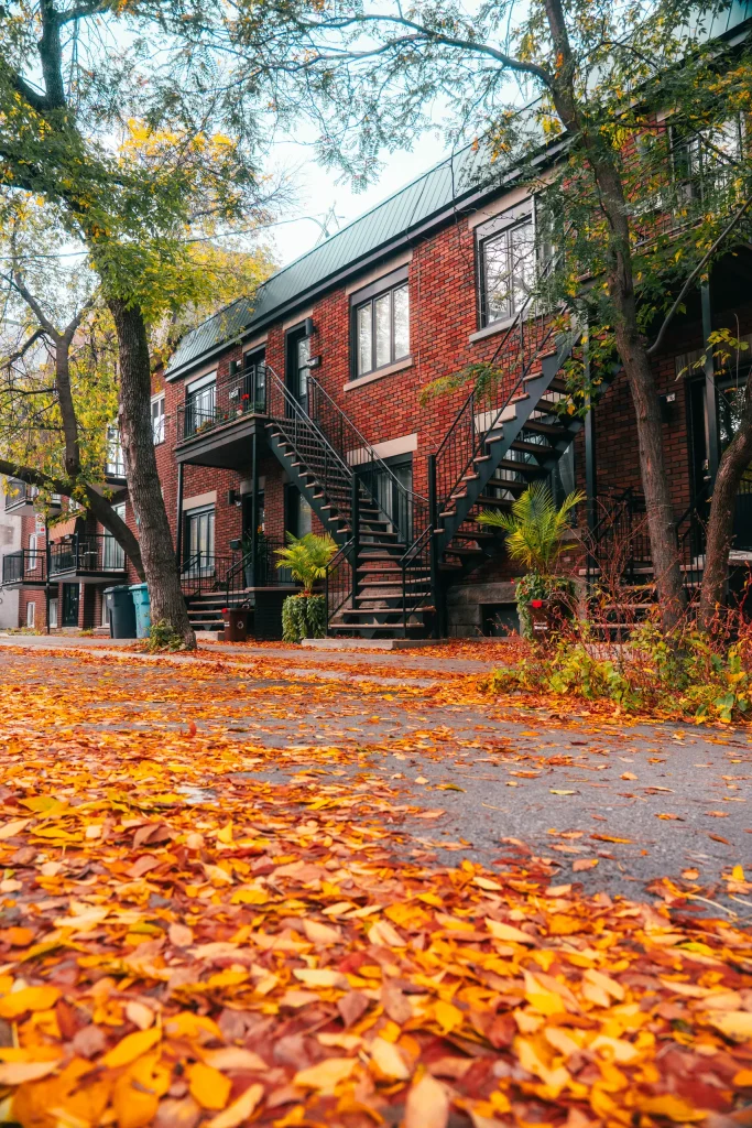 Montréal 32