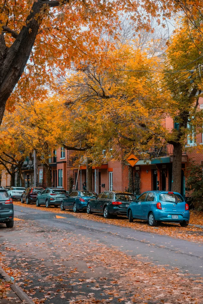 Montréal 35