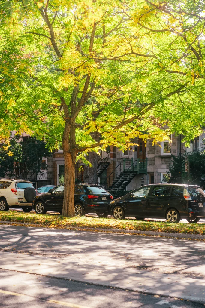 Montréal 37