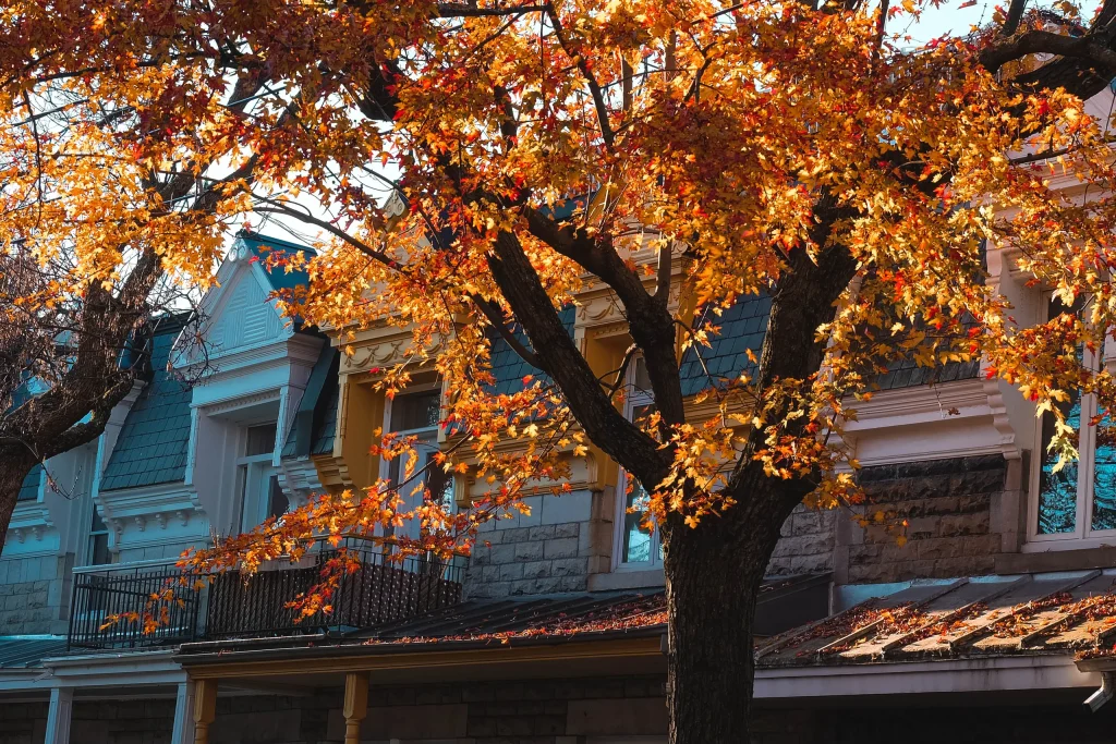Montréal 40