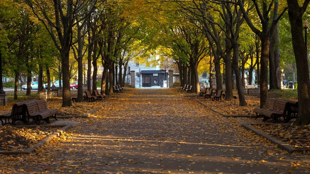 Montréal 45