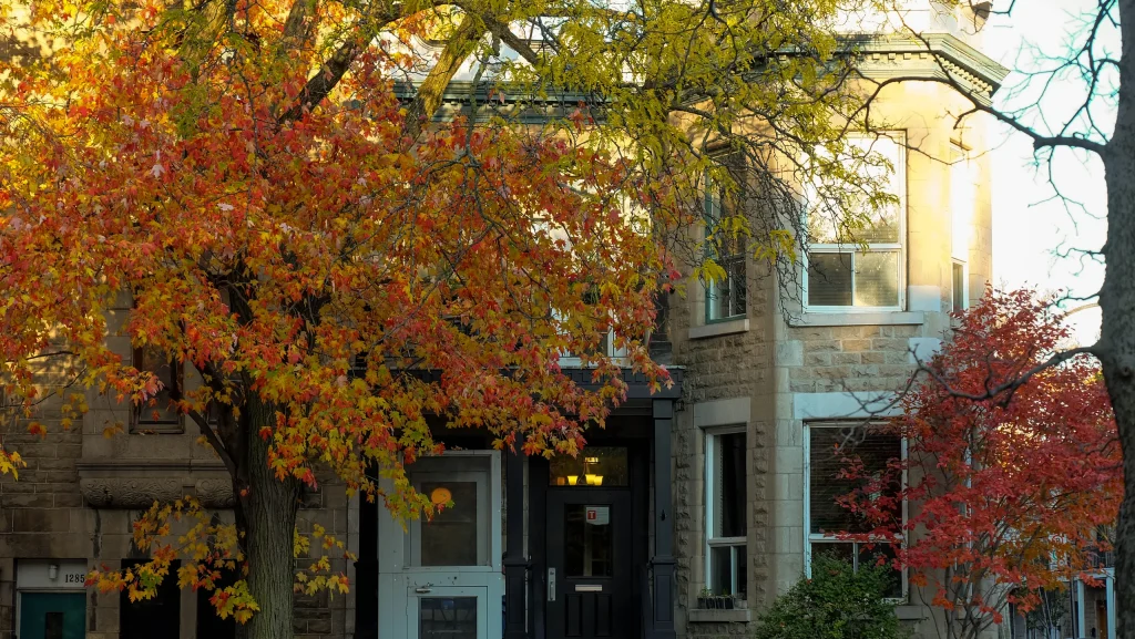 Montréal 46