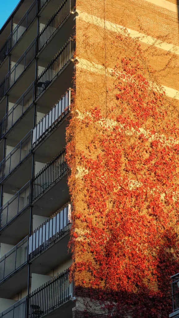 Montréal 49