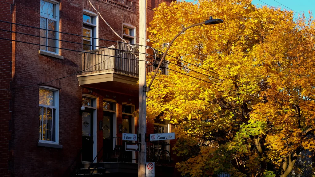 Montréal 50