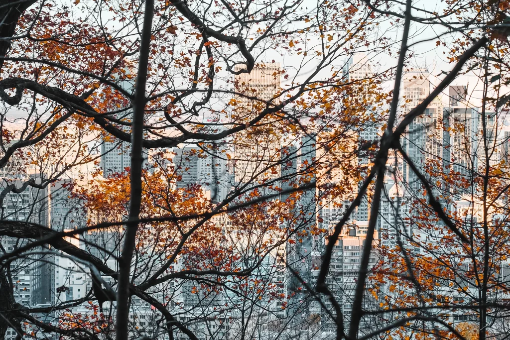 Montréal 55