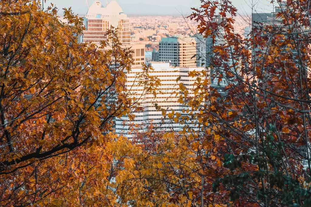 Montréal 56