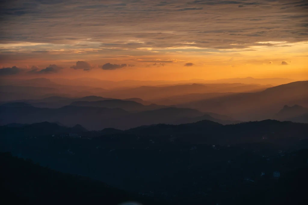 Munnar 03