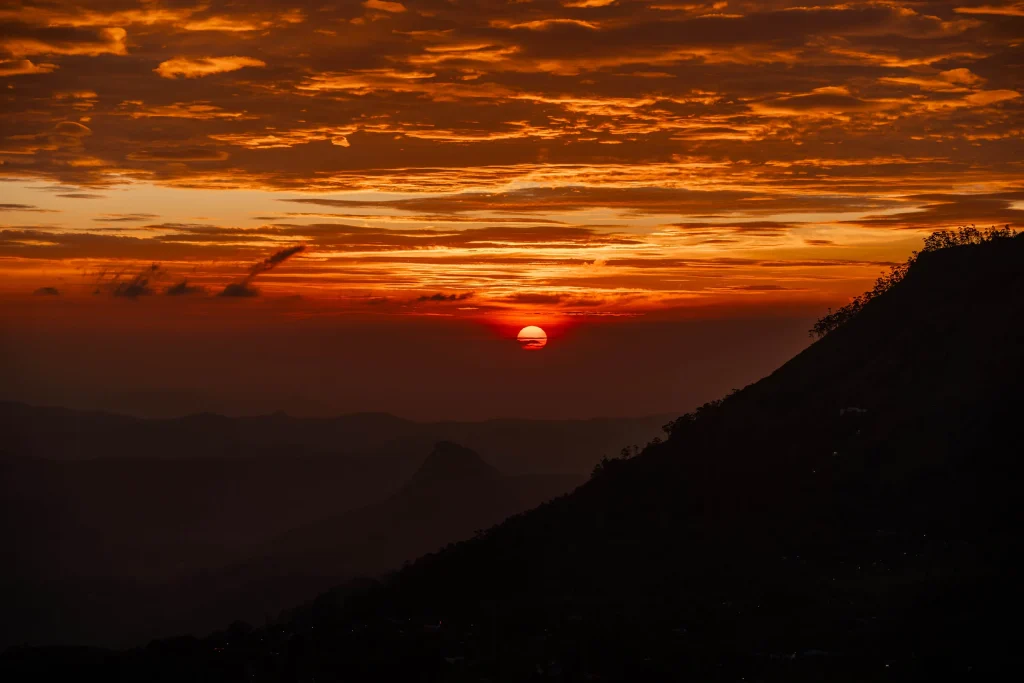 Munnar 04