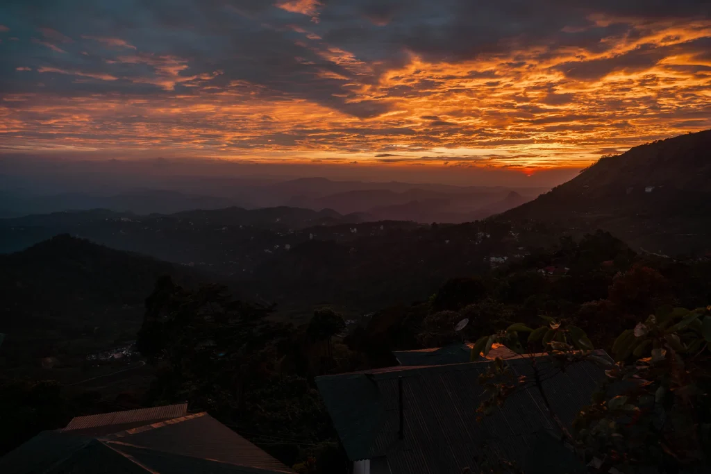 Munnar 05