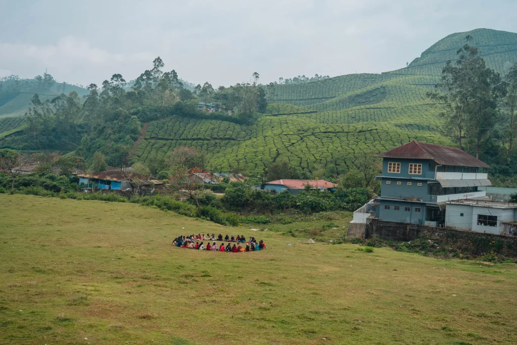 Munnar 15