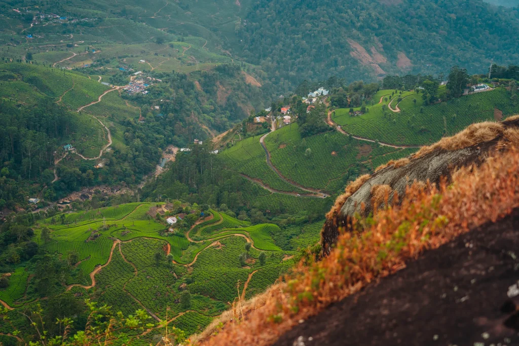 Munnar 25