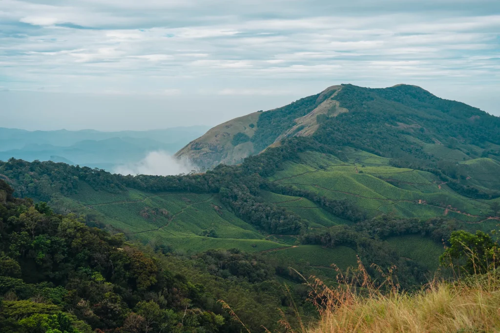 Munnar 27