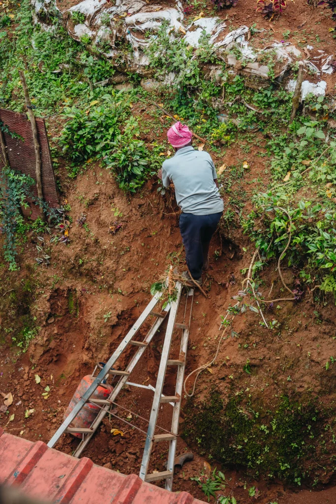Munnar 28