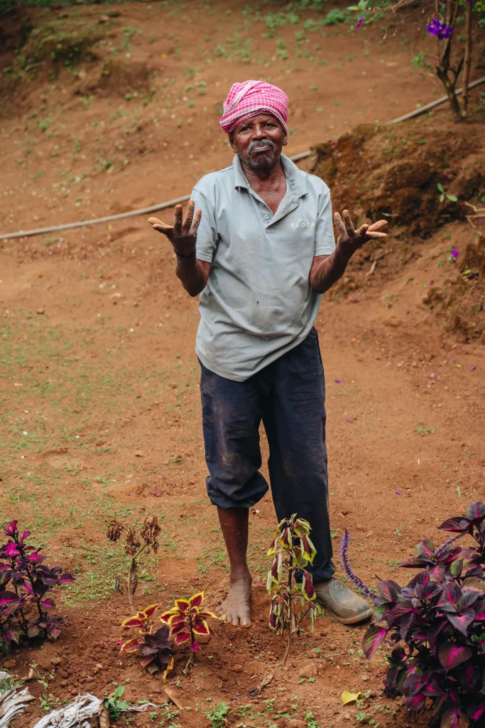 Munnar 29