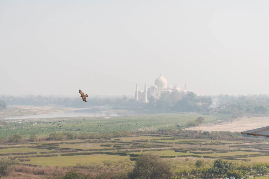 New Delhi 34