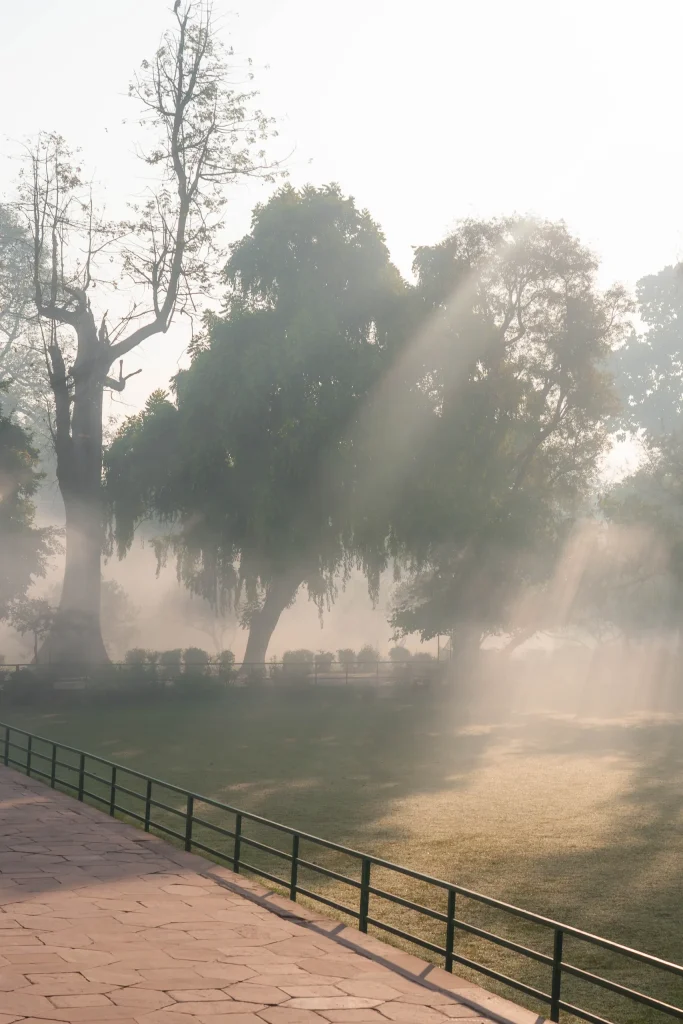 New Delhi 39