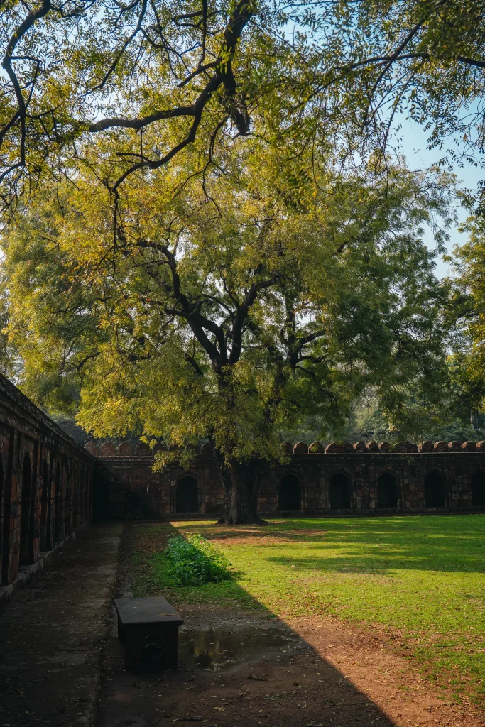 New Delhi 88